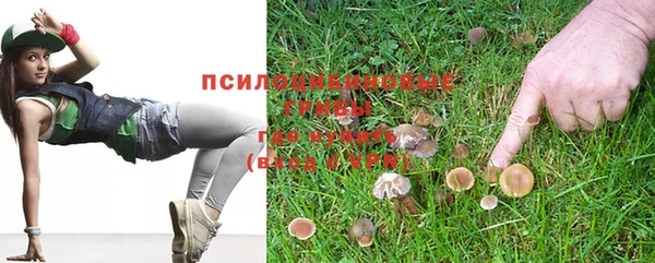 ешки Балахна