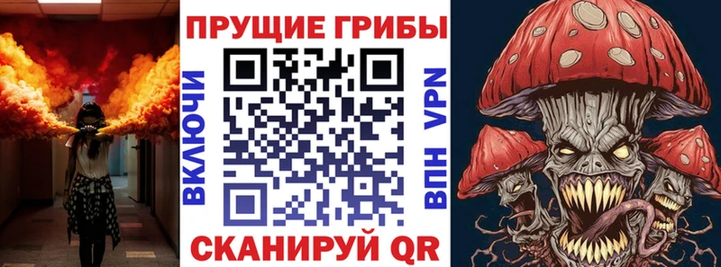 где продают   Юрьевец  Псилоцибиновые грибы мицелий 